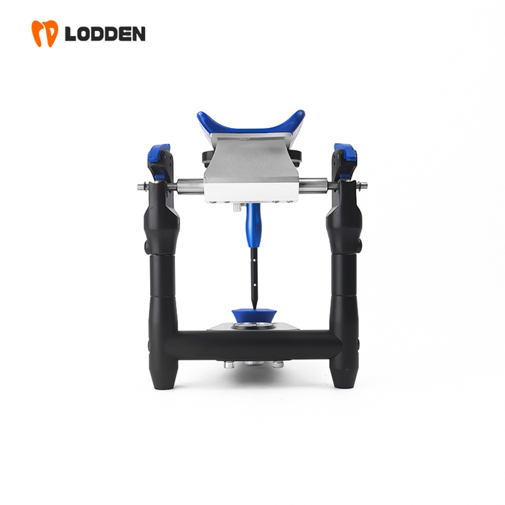 LODDEN BN Value Articulator Mi - Medical Lab Values review and price