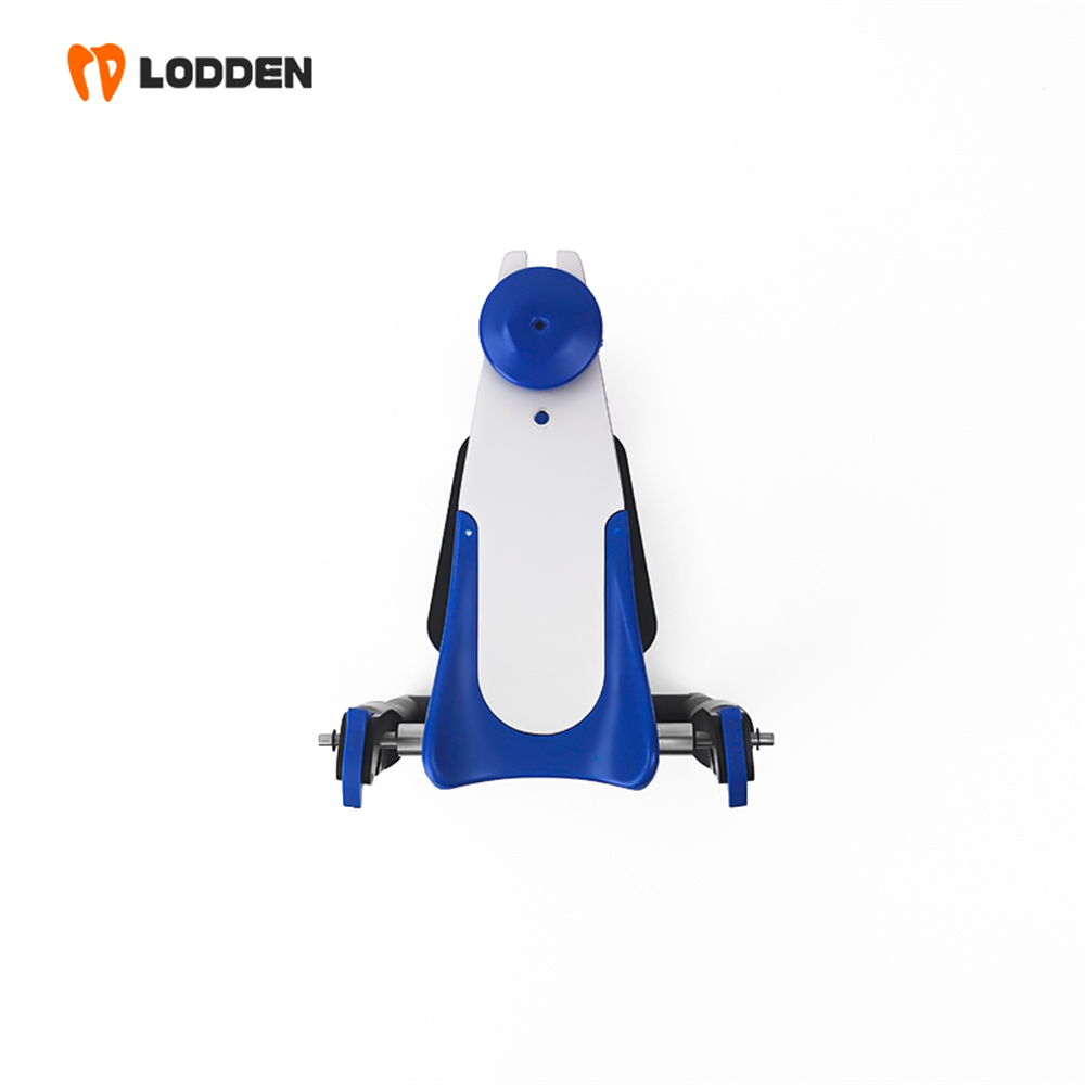 LODDEN BN Value Articulator Mi - Medical Lab Values review and price